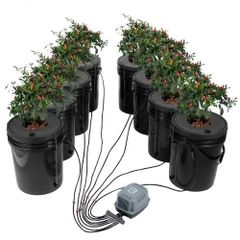 Hydroponic Growing System, Deep Water Culture 5-Gallon 8 Buckets, DWC System with Air Pump, Air Stones and Water Level Device for Leafy Vegetables