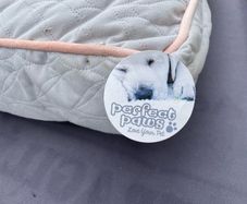 Dog Bed