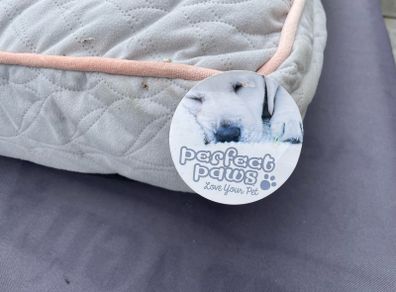 Dog Bed