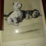 Famous antique Dog illustrations Image 3