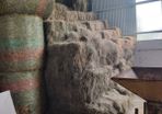 organic hay small square bales