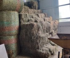 organic hay small square bales