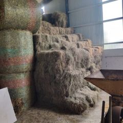 organic hay small square bales