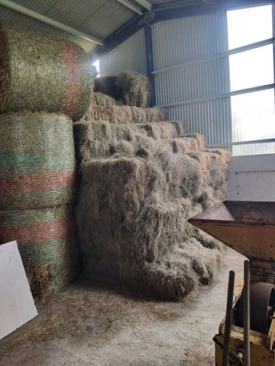 organic hay small square bales