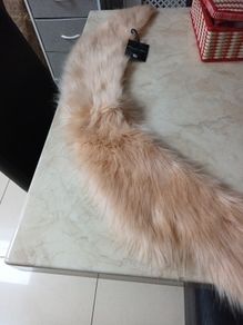 Simple Be Faux  Fur Nede Scarf/Long Collar.  S. One Size. B.N.W.T