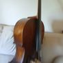 Cello Image 9