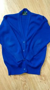 School Jumper.  Age 8-9