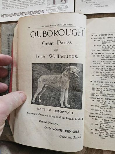 Catalogues Of The 10th & 11th Irish Kennel Club Shows 1931-32. Plus To Stud Cards For Dogs. Paperbacks In Only Fair Condition.  See Photos For Same.