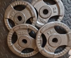 4 x 2.5kg weight plates