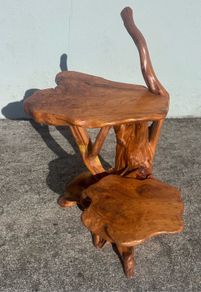 Unique Sculptural Tree Root Display Stand / Live Edge 2-Tier Table