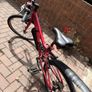 Carrera Saruna Jnr Fit bicycle Image 3