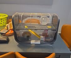 hamster cage