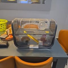 hamster cage