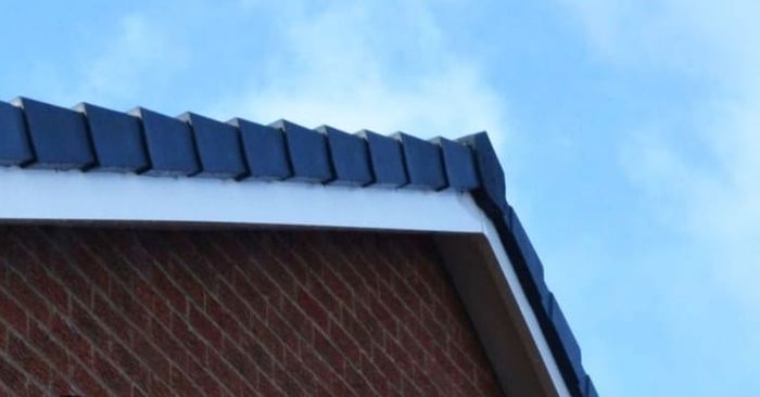 T&m gutter and  garden service