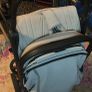 buggy Image 5