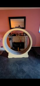 cat toys wheele