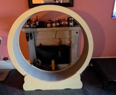 cat toys wheele