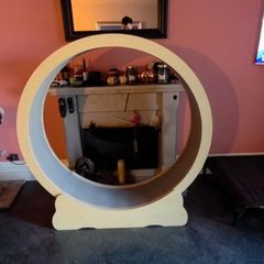 cat toys wheele