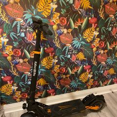 Kukirin G2 Pro
