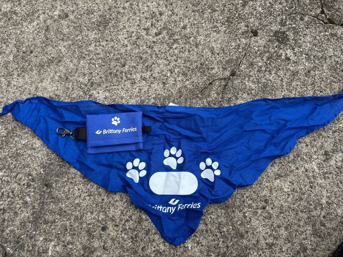 Dog bandana and bag holder