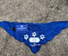 Dog bandana and bag holder