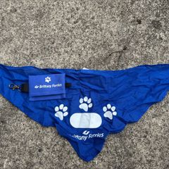 Dog bandana and bag holder