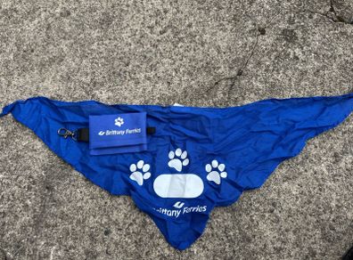 Dog bandana and bag holder