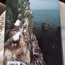IRELAND/ A Smithsonian Natural History /Michael Viney/ 2003 Image 2