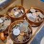 Coin Collection Image 9