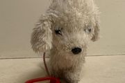 toy dog