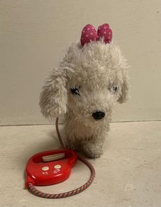 toy dog