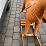 rocking horse Image 4