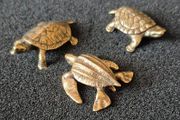 3 brass Turtles,. Solid brass.