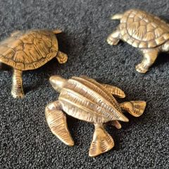 3 brass Turtles,. Solid brass.