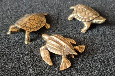 3 brass Turtles,. Solid brass.
