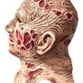 Freddie Krueger Nightmare on Elm street latex mask. Image 3
