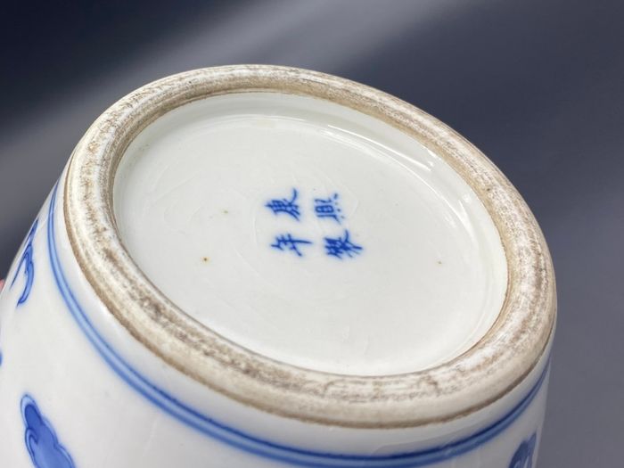 Chinese 19th Century Porcelain Vase Antique Blue & White