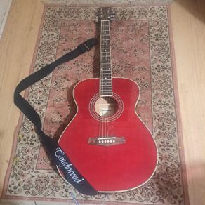 Tanglwood acoustic guitar Tanglwood guitar company united kingdom