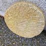 Mill stones Image 7