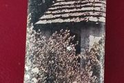 The SHELL Gardens Book/ 1964