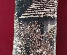 The SHELL Gardens Book/ 1964