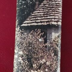 The SHELL Gardens Book/ 1964