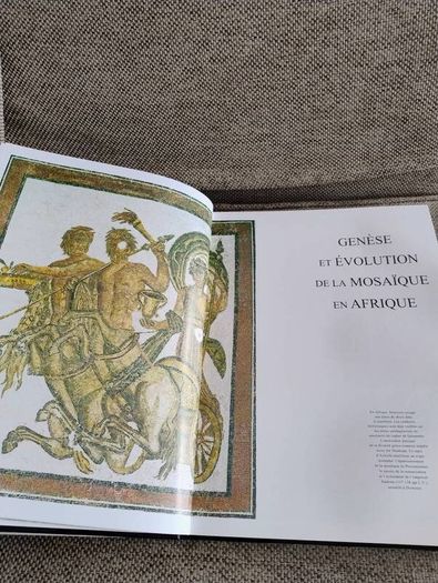 La Mosaique en Tunisie the mosaics of Tunisia large coffee table book in very good condition with no issues 270 pages with lots of pictures etc see photos FREE STANDARD POSTAGE INCLUDED