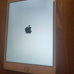 iPad mini 4 128gb wifi