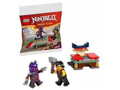 LEGO Ninjago Tournament Training Ground (30675)