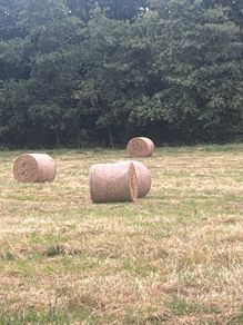 121 bales for sale 20 one