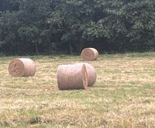 121 bales for sale 20 one