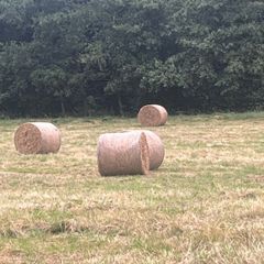 121 bales for sale 20 one