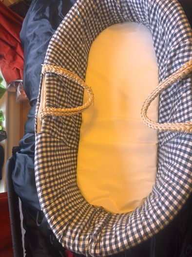 Moses Basket, free to go
