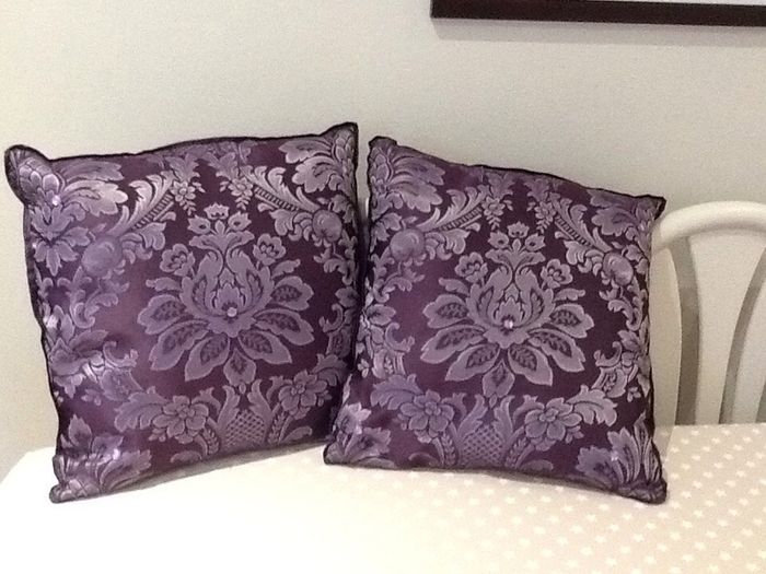 Two Beautiful Cushions